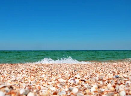На черном море много песчаных побережий