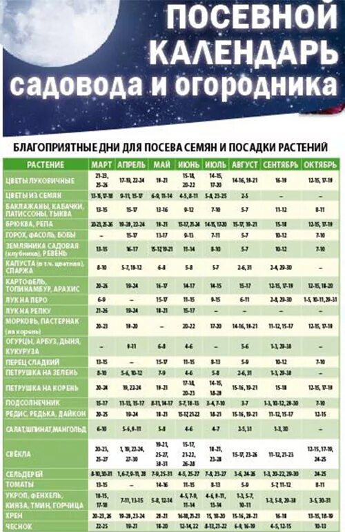 Благоприятные дни для посадки сельдерея. Посевной календарь. Лунный посевной календарь. Благоприятные дни для посева в Подмосковье. Посевной календарь для Подмосковья.