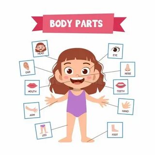 I can body