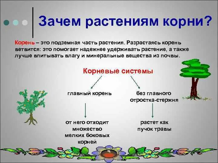 Почему растения живые организмы. Зачем нужен корень растению. Растения часть живой природы. Зачем нужна растительность. Корень нужен растению для.