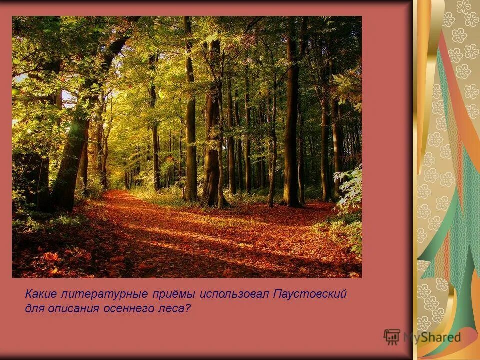 к г паустовский осень. к г паустовский осень. паустовский произведения про осень. константин паустовский об осени. к г паустовский осень.