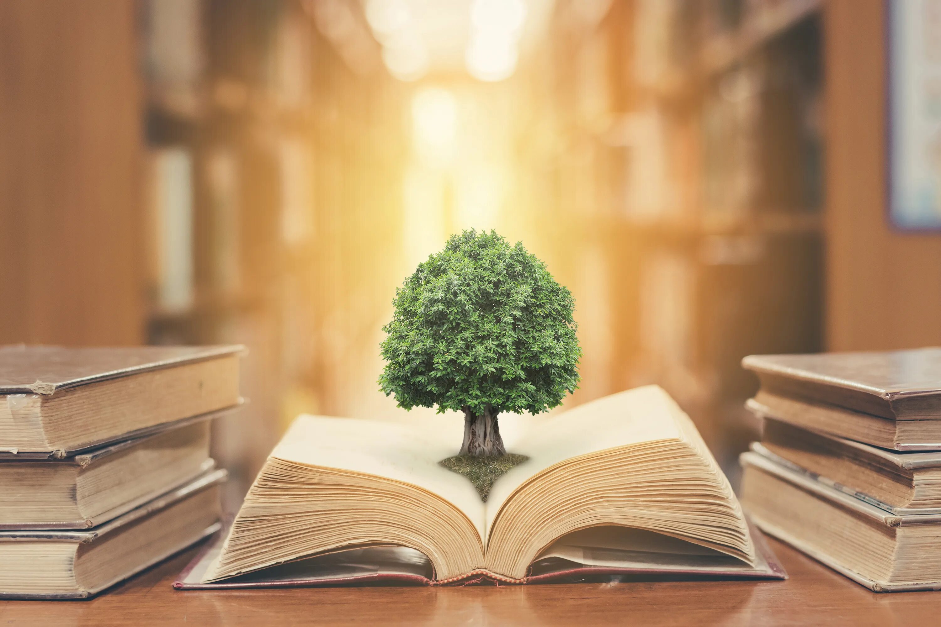 Знания мудрость. Фон книги. Дерево с книгами. Знания и саморазвитие.