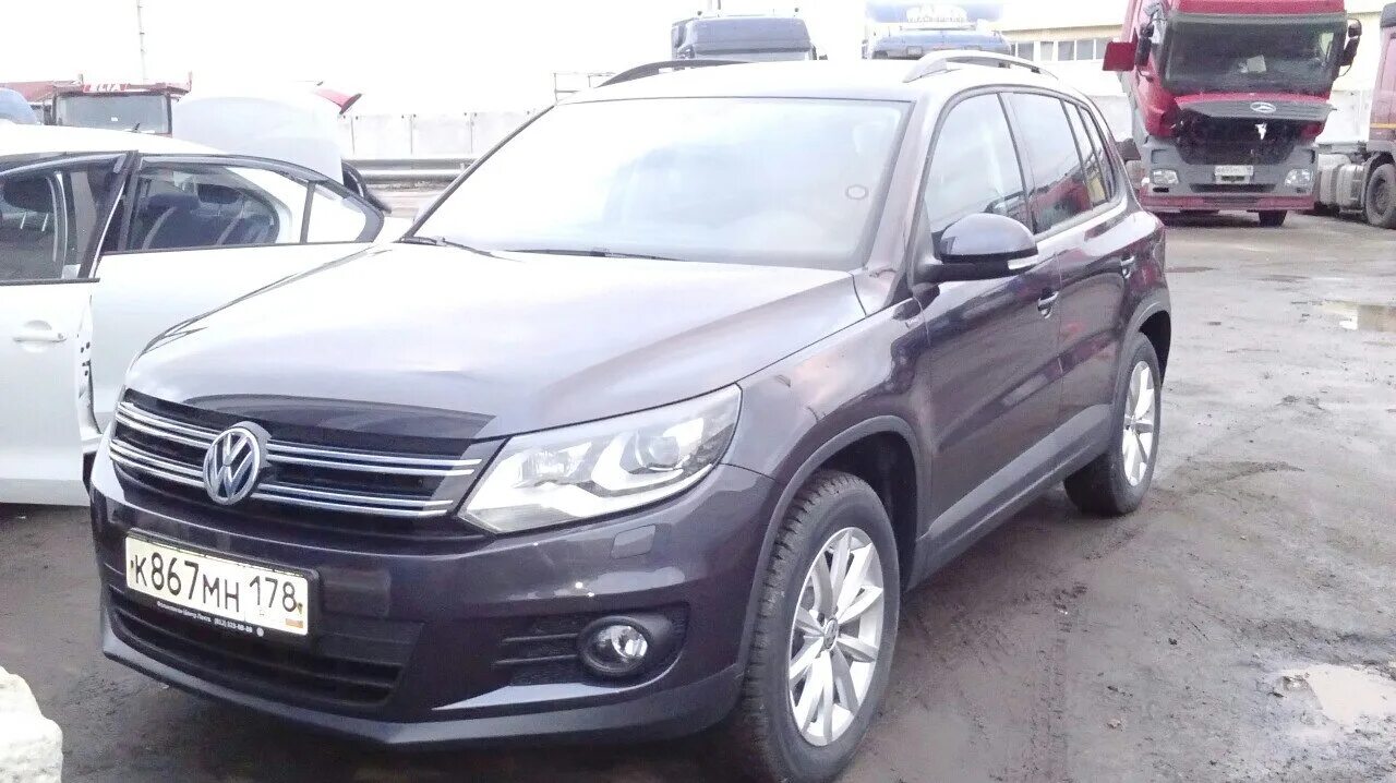 Тигуан клуб. Tiguan club. Tiguan club. Тигуан клаб. Tiguan club.