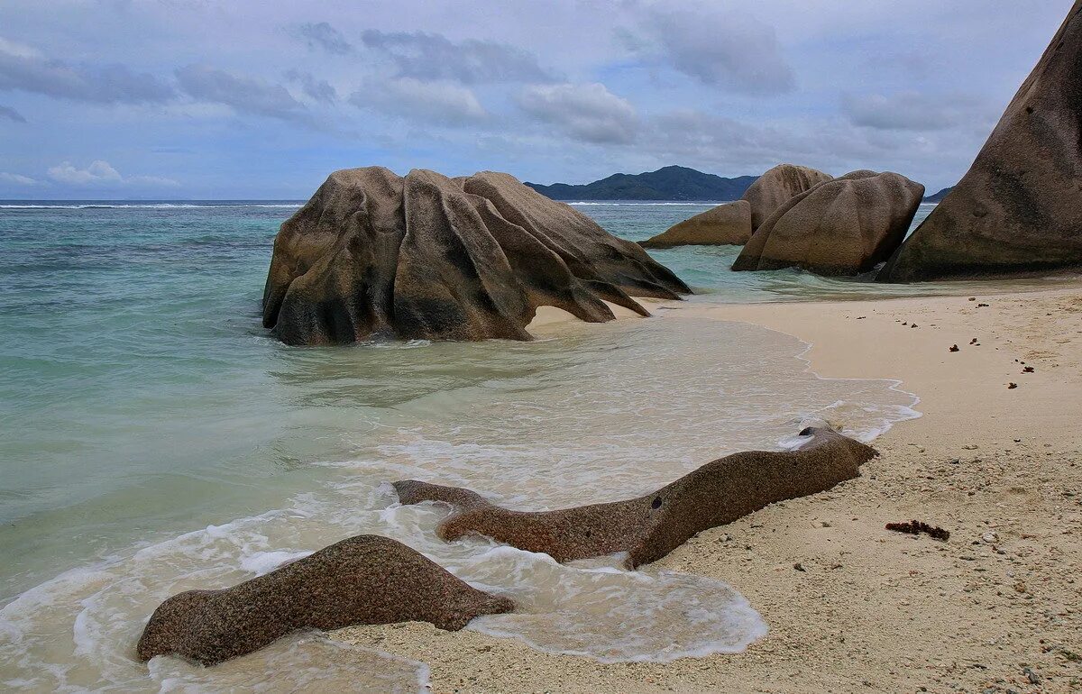 остров 2013 года