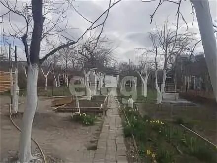 Погода убых