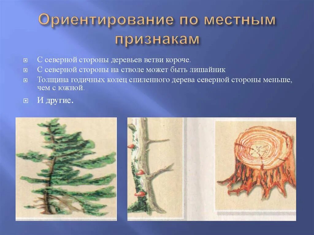 Признаков рисунок 5 2. Ориентирование по признакам. Ориентирование по местным. Ориентирование по местным природным признакам. Местные признаки ориентирования.