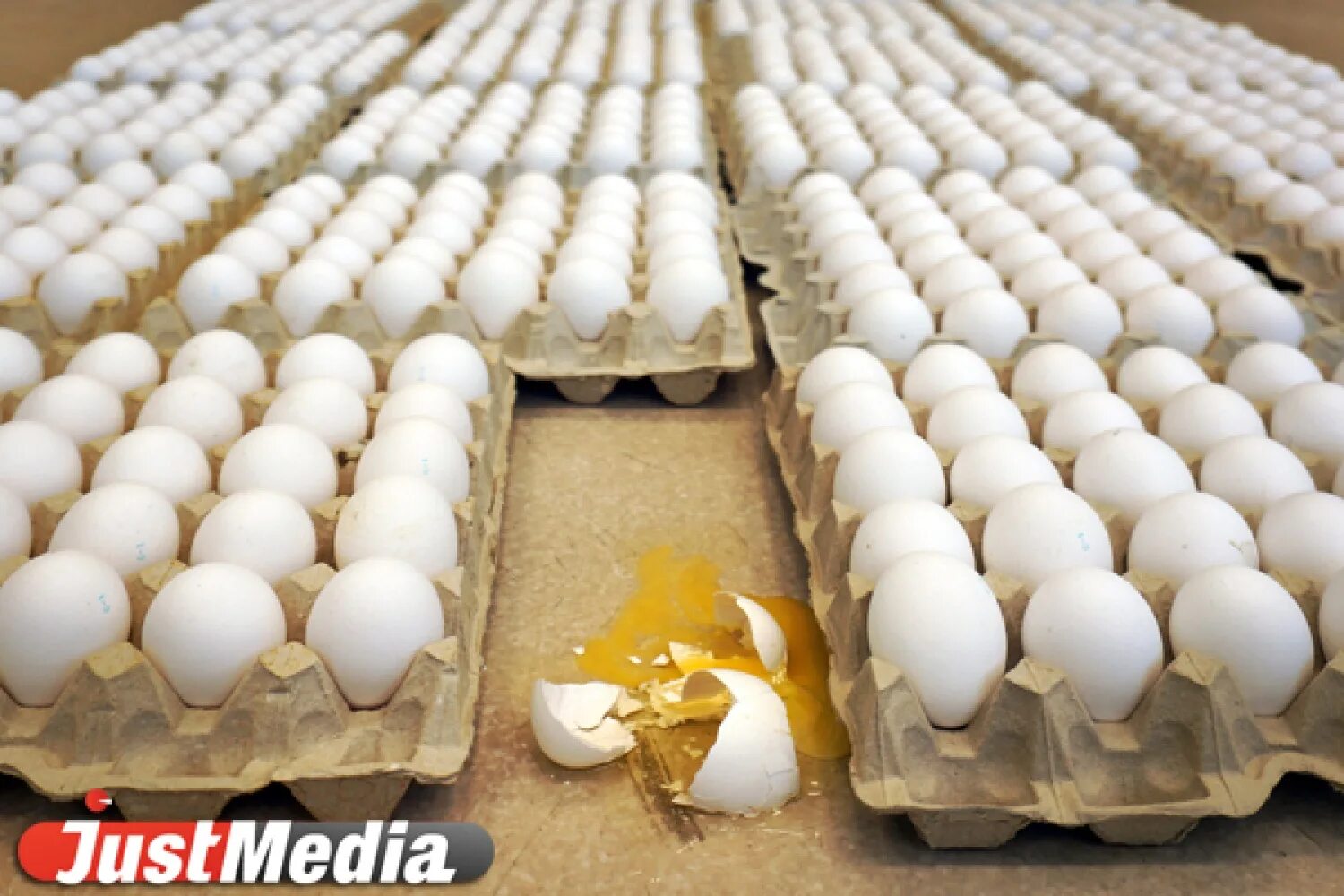 Яйцо куриное Свердловское. Яйца Свердловской птицефабрики. Приснились куриные яйца. Яйца Свердловская птицефабрика упаковка. Купить яйца в свердловской области
