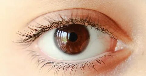 Brown 1 eyes