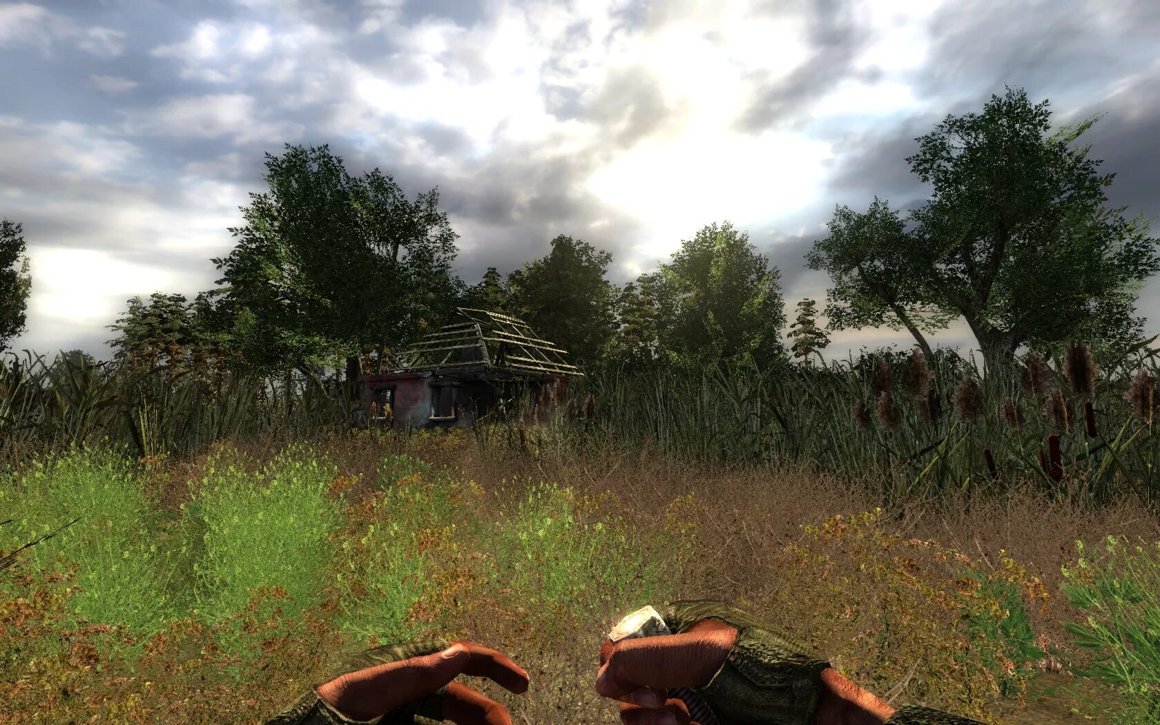 Stalker тень Чернобыля Lost Alpha. Мод Stalker лост Альфа. Lost Alpha БМ-16. Сталкер мертвая зона. Lost alpha addons