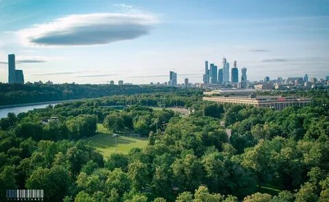 Зелень москва