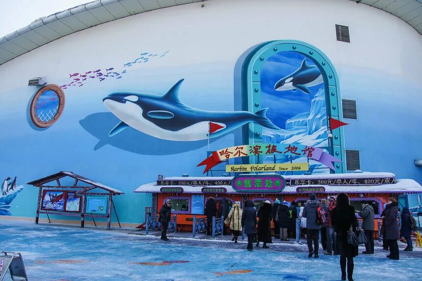 Аквариум в харбине. Океанариум харбин. Харбин океанариум. Солнечный остров харбин океанариум. Океанариум харбин.