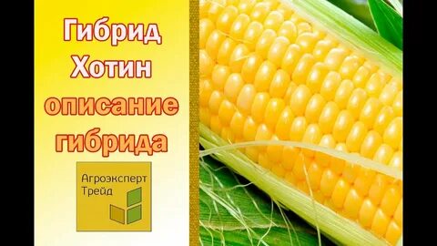 Кукуруза музыка