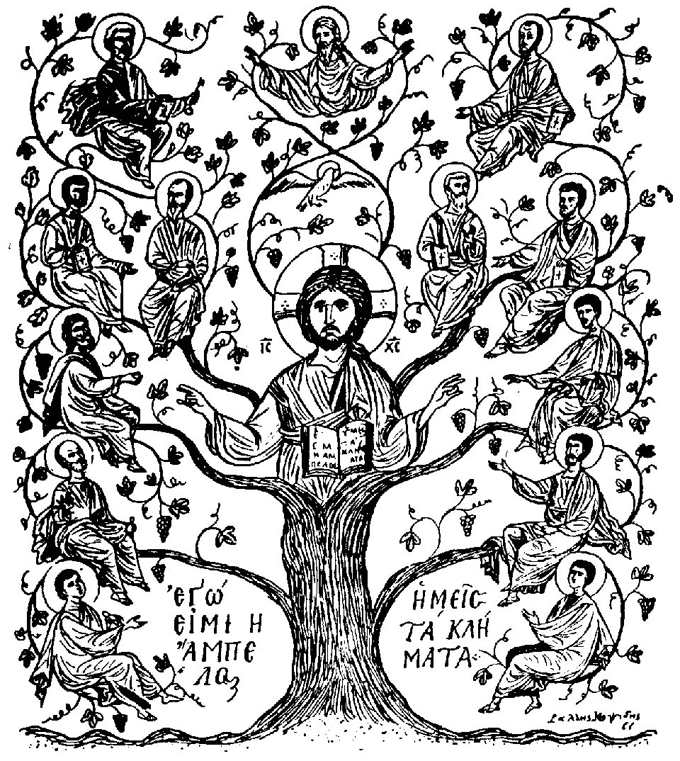 Родословная иисуса христа икона. Икона древо иессеево родословие иисуса. Древо жизни виноградная лоза. Древо спас. Древо спас.