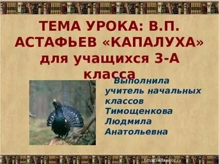 Капалуха план 3 класс литературное чтение. Конспект урока литературного чтения 3 класс капалуха. План по капалуха 3 класс литературное чтение. План по капалуха 3 класс литературное чтение. Конспект урока литературного чтения 3 класс капалуха.
