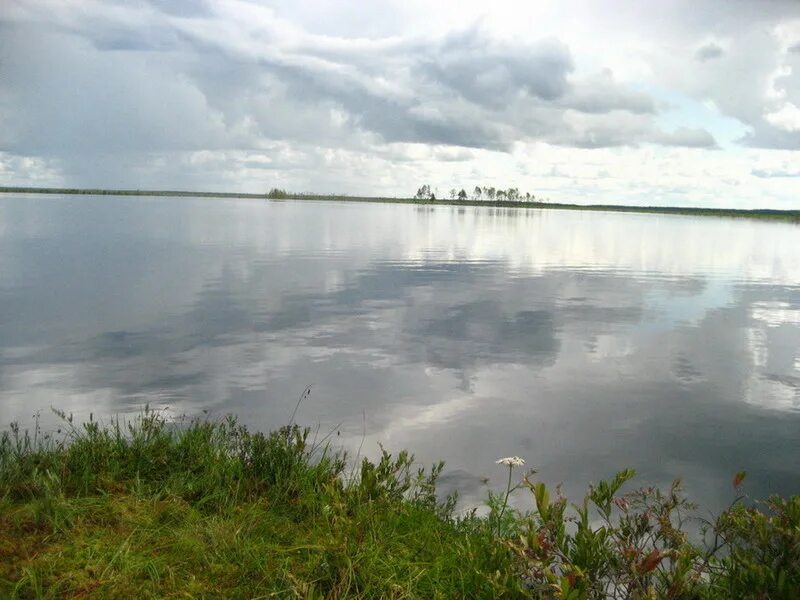 Кадомское озеро республики коми. Када озеро. Озеро кадам усть-куломский. Озеро кадам республика коми. Усть кулом озеро кадам.