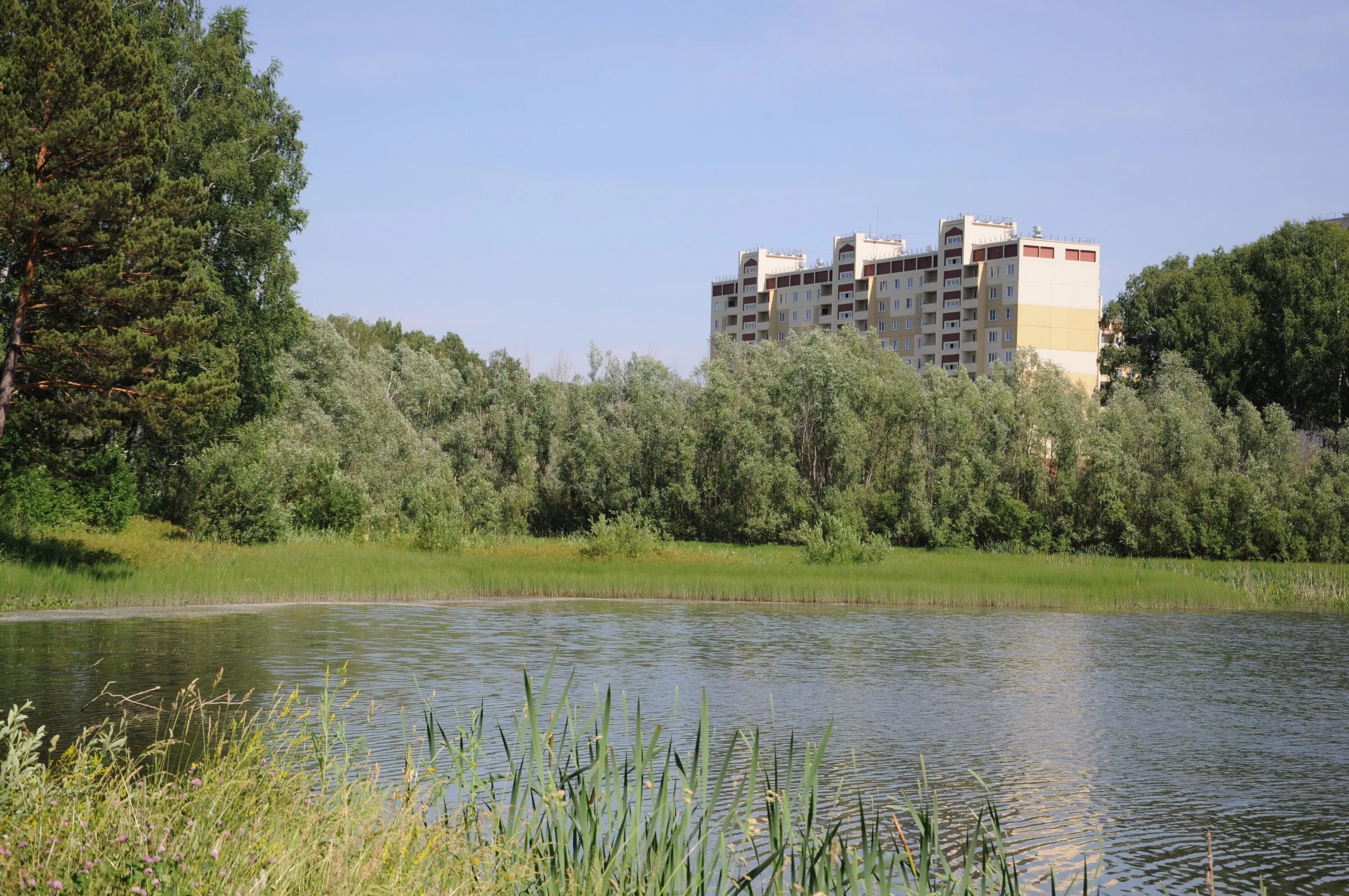 Купить озеро новосибирск. Серебряное озеро Новосибирск Каинская Заимка. Озеро Лесное Новосибирск МЖК. Серебряное озеро Академгородок. Озеро серебряное Новосибирск Академгородок.