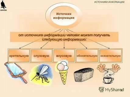 Примеры источников биологической информации