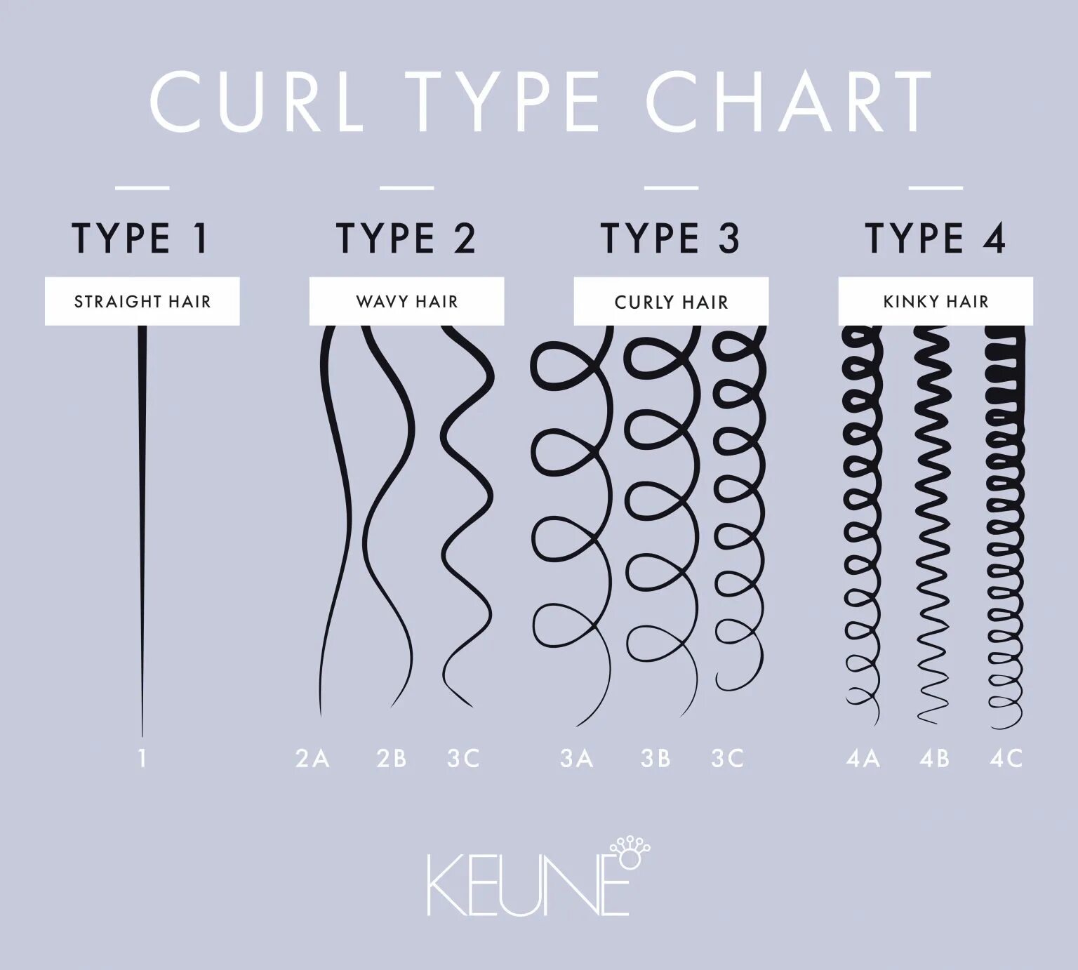 Curl output. Типы волос. Разные типы волос. Тип волос 2b. Волосы типы волос.