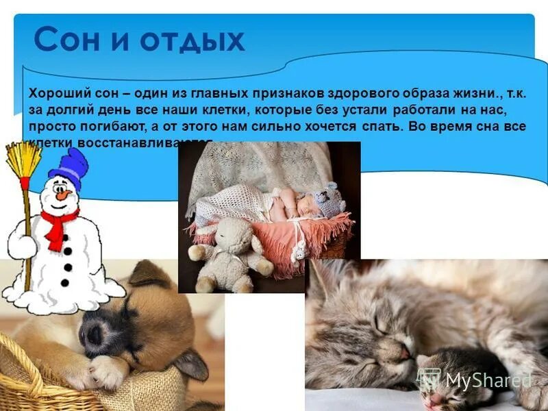 русский язык 7 класс номер 281. раскройте скобки трудиться в одиночку. трудиться без устали составить предложение. гдз поймать на лету работа в одиночку.