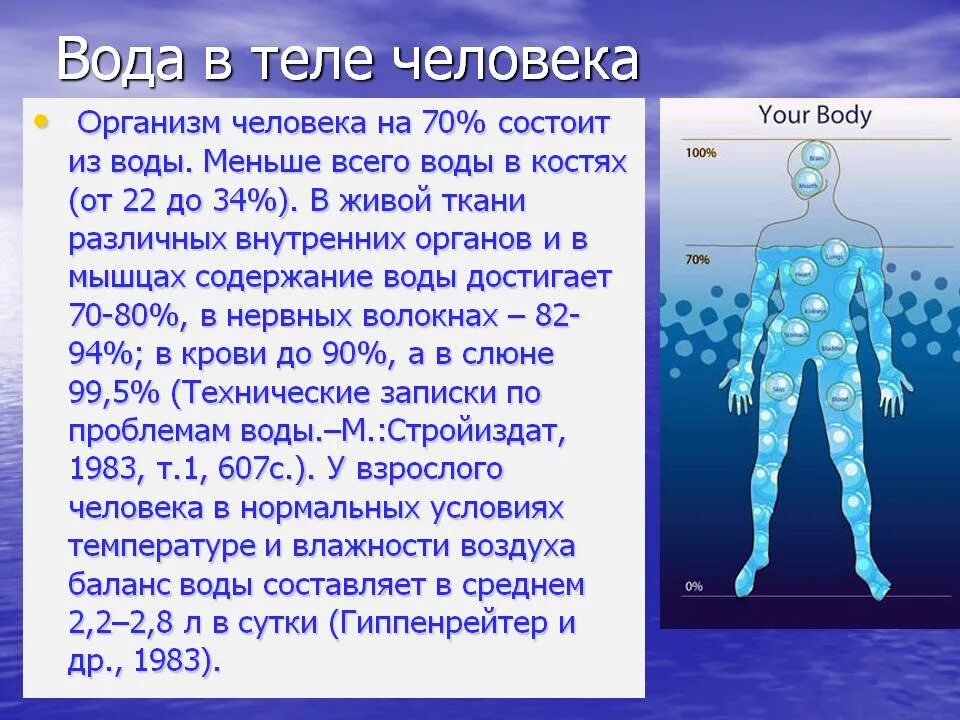 Вода в организме человека. Человек состоит из воды. Организм человека состоит из воды. Вода в человеческом организме. Зачем организму вода