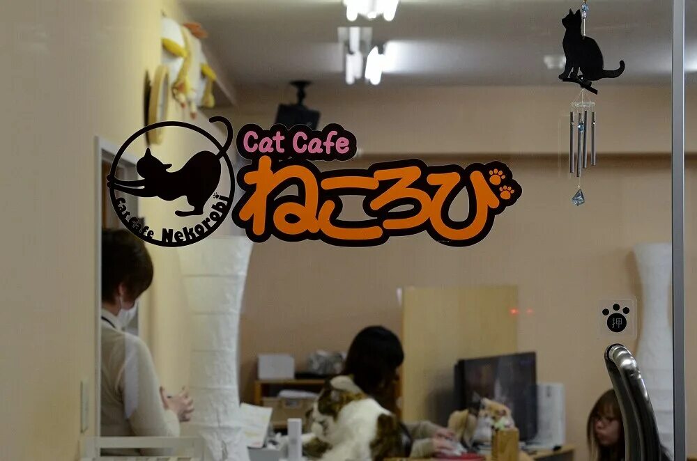 Включи коте ресторан. Кафе с кошками. Котокафе вывеска. Кошачье кафе вывеска. Планировка котокафе.