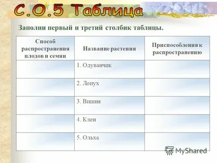 Приспособления для распространения плодов таблица