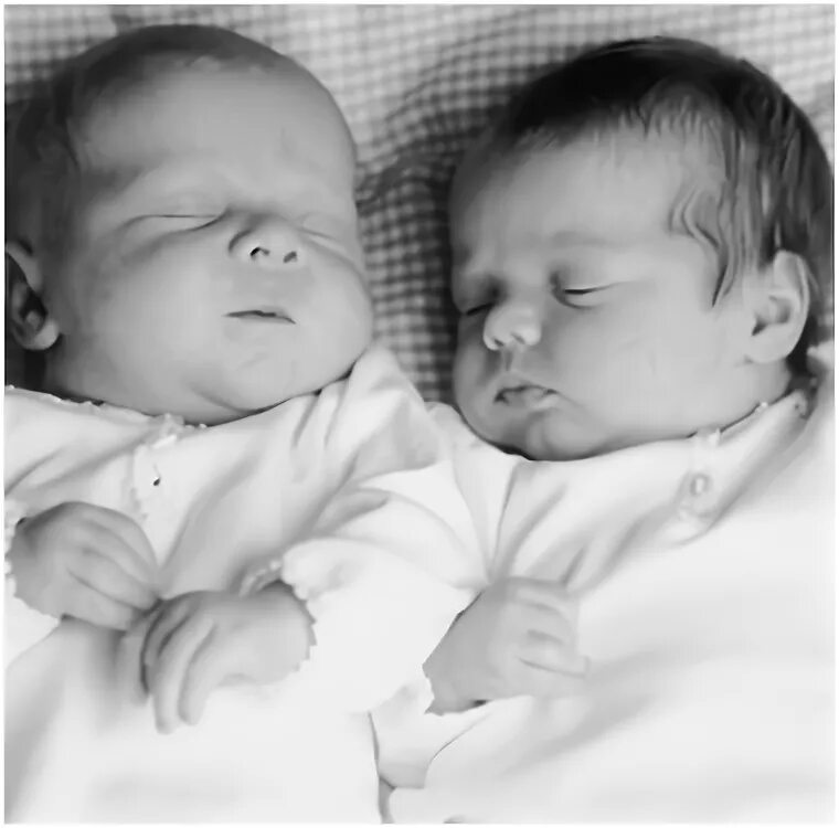 двойняшки и тройняшки. какой шанс рождения близнецов. близнецы тройняшки. близнецы. шанс забеременеть двойней.