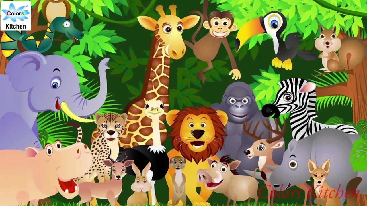 Kids box wild animals