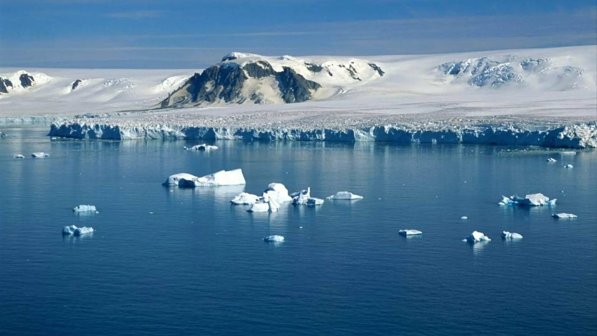 Антарктида Гренландия Арктика Северный Ледовитый океан. Северный Ледовитый океан Южный полюс. Северный полюс Арктика. Северный Ледовитый океан и Антарктида. Ледовитый океан факты