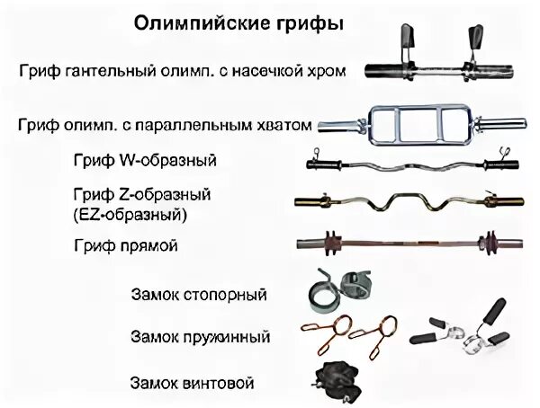 Весы грифов