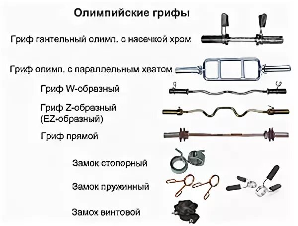 W образный гриф вес. Гриф для штанги z образный вес. Гриф для штанги w-образный вес. Вес грифа штанги Кривой w-образный.