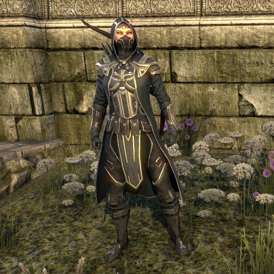 Где взять костюм. The Elder Scrolls online рыцарь бретонец. The Elder Scrolls бретонцы. ТЕСО костюм герой бретонец. Герой бретонец TESO.