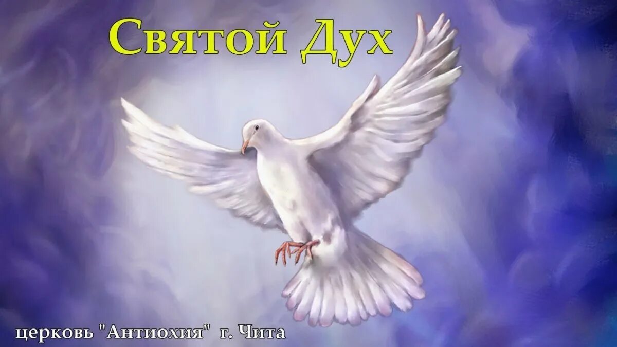 Как называется святой дух. Сошествие святого духа голубь. символ святого духа. белый голубь. голуби в небе.