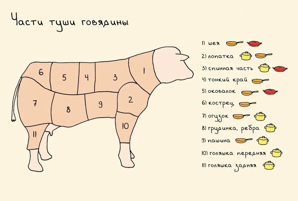 Как называются части туши коровы. Части туши коровы схема. Разделка говядины схема. Схема разделки коровьей туши.