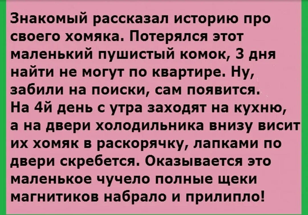 Рассказ не рассказывай. Волчок никому не рассказывай книга. Иллюстрация к произведению расскажи мне про сингапур. История рассказанная народом книга. Какие рассказы рассказывал павлуша.