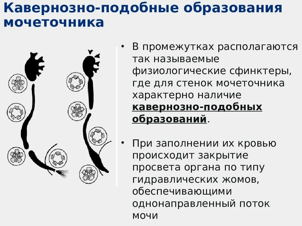 Аналогичное образование