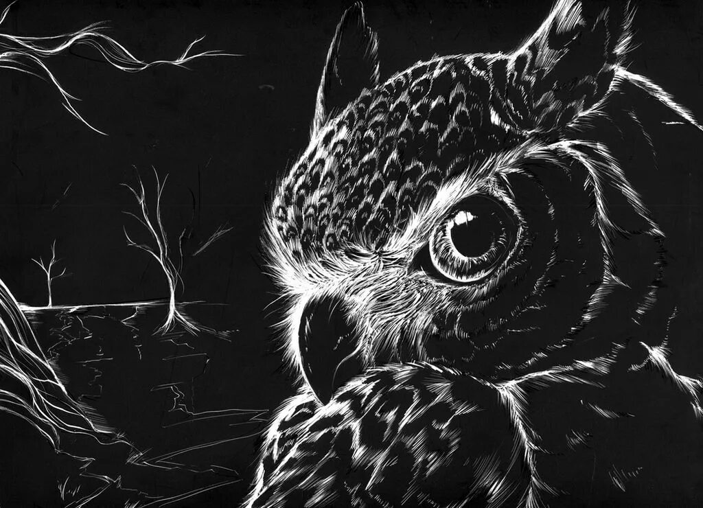 By owl secret video uff retro edit. Скратчборд. scratchboard в иллюстраторе. by owl лицо.