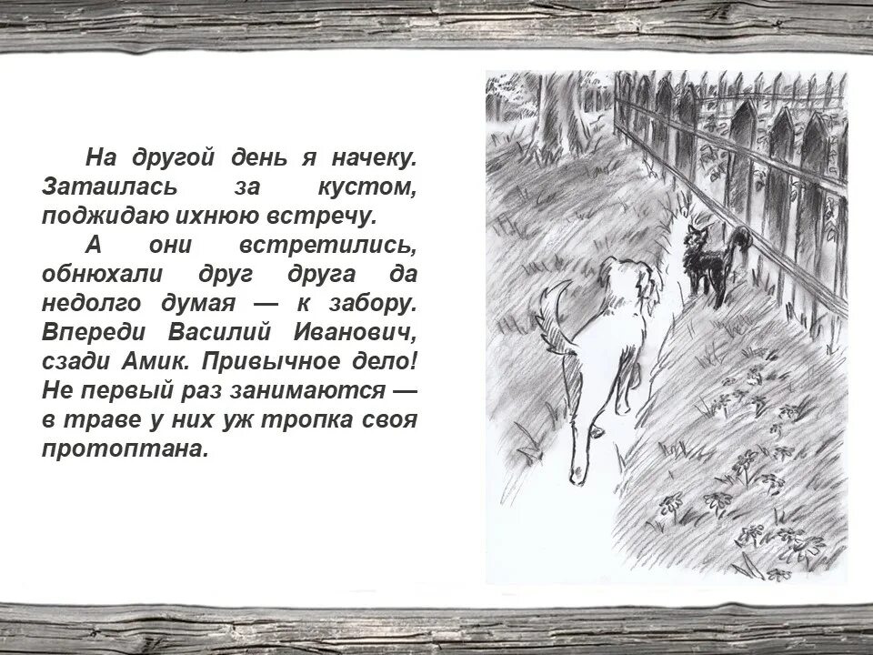 Иллюстрации из рассказов Абрамова. Рисунки по рассказам Абрамова. Абрамов собачья гордость рисунок.