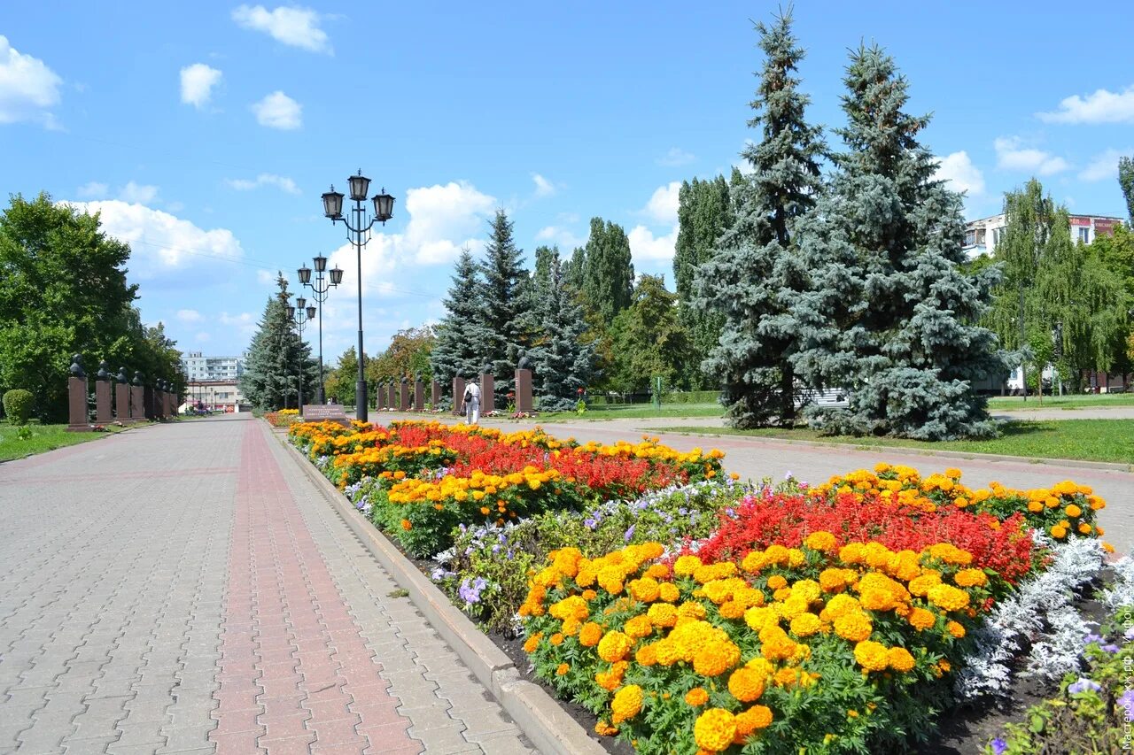 Старый оскол описание. Старый Оскол. Старый Оскол Белгородская область. Город старый Оскол Белгородской области. Белгородская область. Старый Оско.