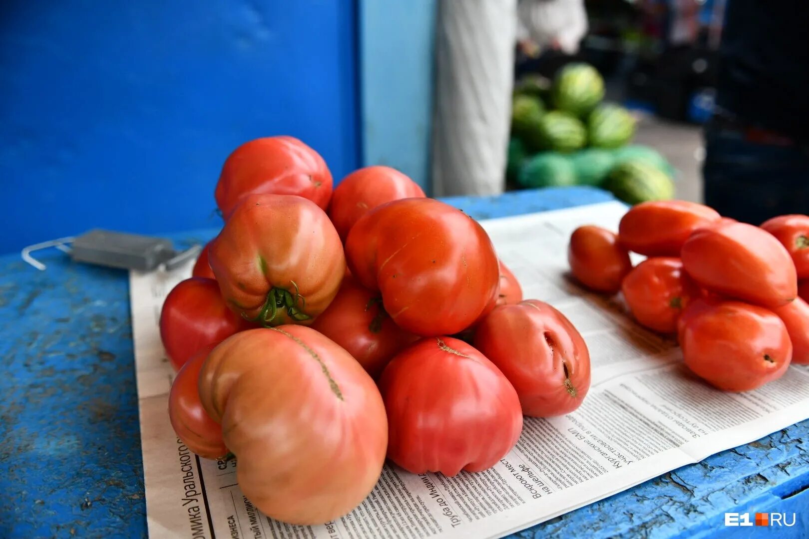 хурма азербайджанская бычье сердце. хурма бычье сердце. сорт хурмы бычье сердце. хурма бычье сердце описание сорта. хурма помидорный сорт.