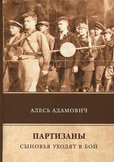 Партизан книга слушать