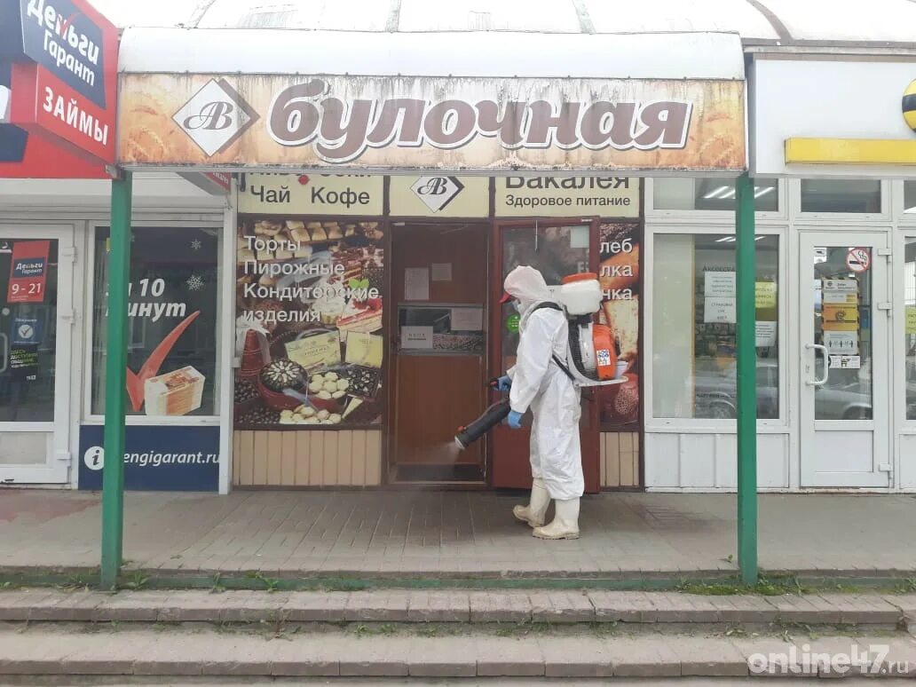 аптека нова в гатчине. проспект 25 октября 9 столички гатчина. аптеки в гатчине адреса. аптека учхоз. цаоп гатчина.