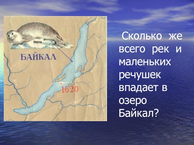 Сколько озер впадает в байкал. Байкал реки впадающие и вытекающие. Сколько рек впадает в Байкал. Реки впадающие в озеро Байкал. Сколько рек впадает в озеро Байкал.