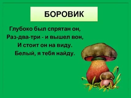 Загадка про белый гриб