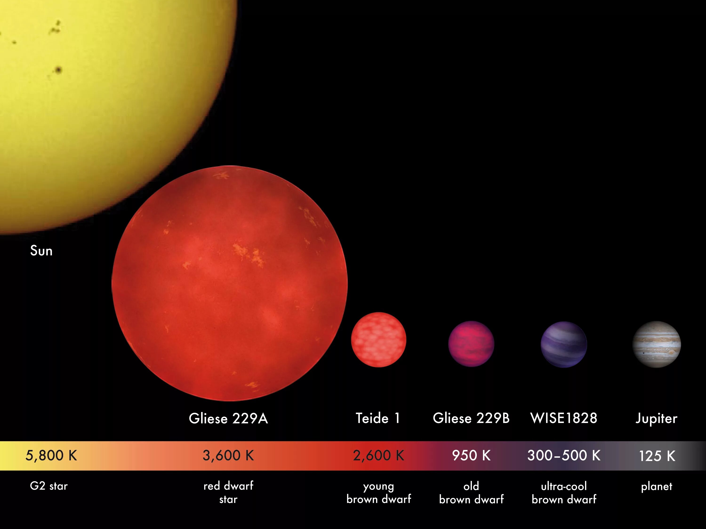 Коричневые карлики Gliese 229. Красный карлик Проксима Центавра. Глизе 667 c b. Глизе 667 c c размер. Звезда наименьшего размера