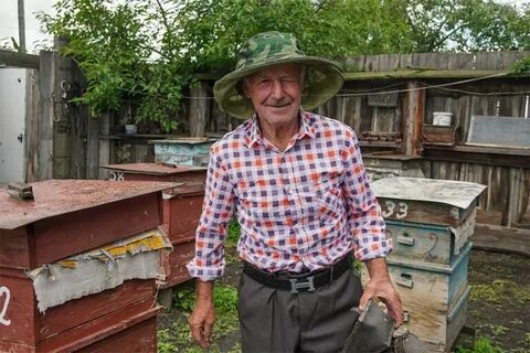 Сев дяди