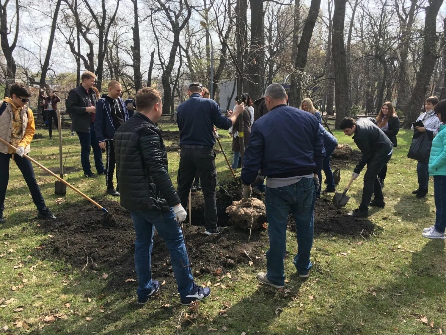 Саратов дуб Горпарк. Городской парк Саратов дубы. Всероссийский субботник Саратов. Директор горпарка Саратов. Включи а 4 посади