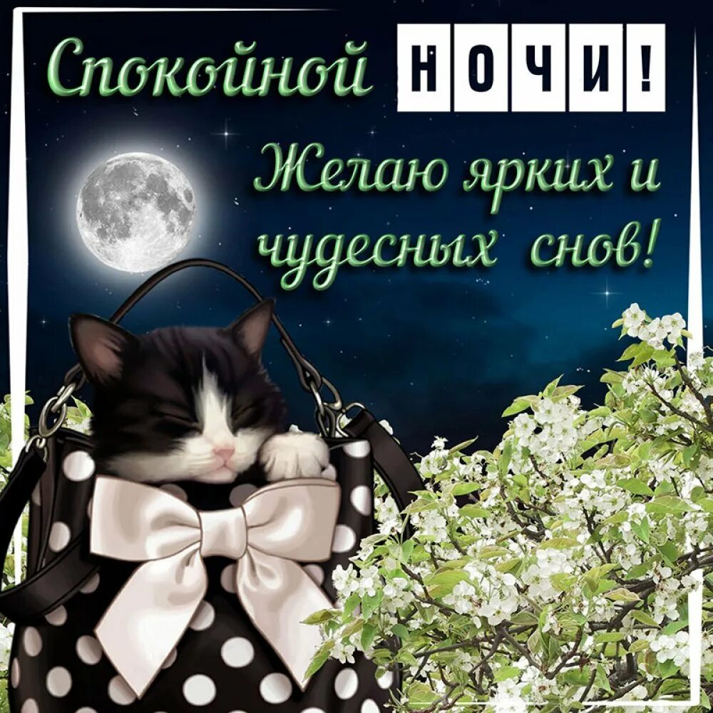 Доброй ночи приятных добрых снов новые. Пожелания спокойной ночи. пожелания доброй ночи. открытки спокойной ночи. картинки спокойнойночки.