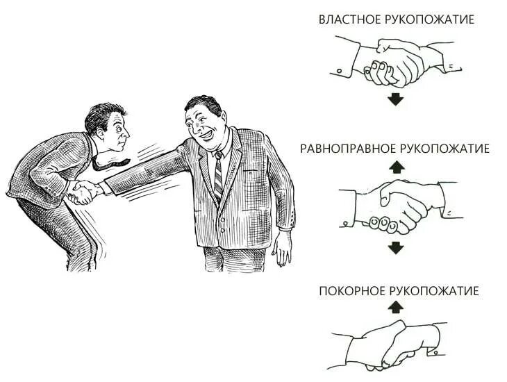 Трактовка доминирующего рукопожатия рука