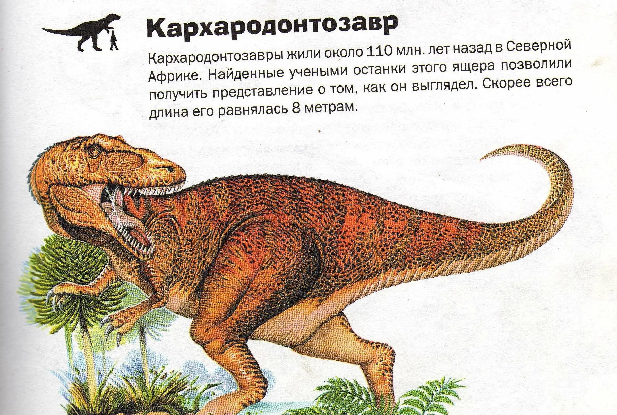 Конспект динозавры. Описание динозавров. Рассказ про динозавров. Динозавры с описанием для дошкольников. Динозавры картинки с описанием.